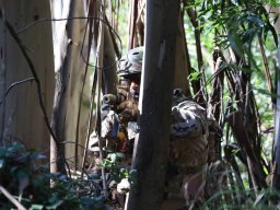 2024-10-27 MISSÃO ROSA